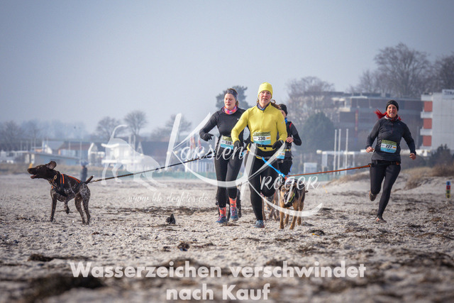 1015_ZZ94345 | kk-dogfotos