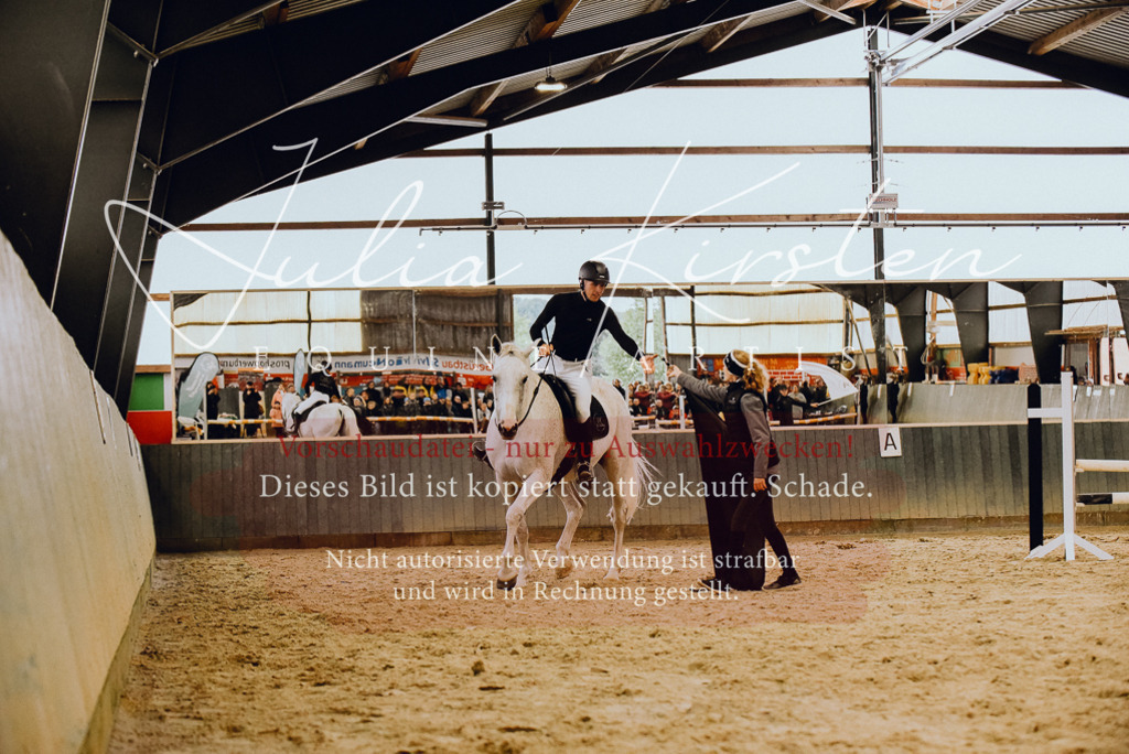 DSC_6982 | Pferde- und Turnierfotografie in Westsachsen. Pferdeportraits, Auftragszeichnungen und intuitive Kunst.