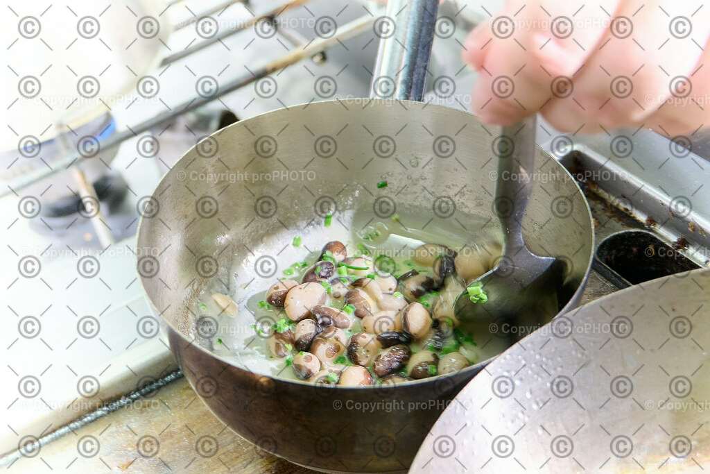 _prophoto_NZ93548 | proPHOTO - Realisiert mit Pictrs.com