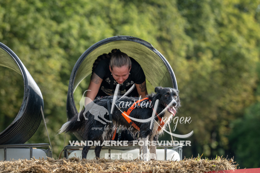 0940_ZZ90867 | kk-dogfotos