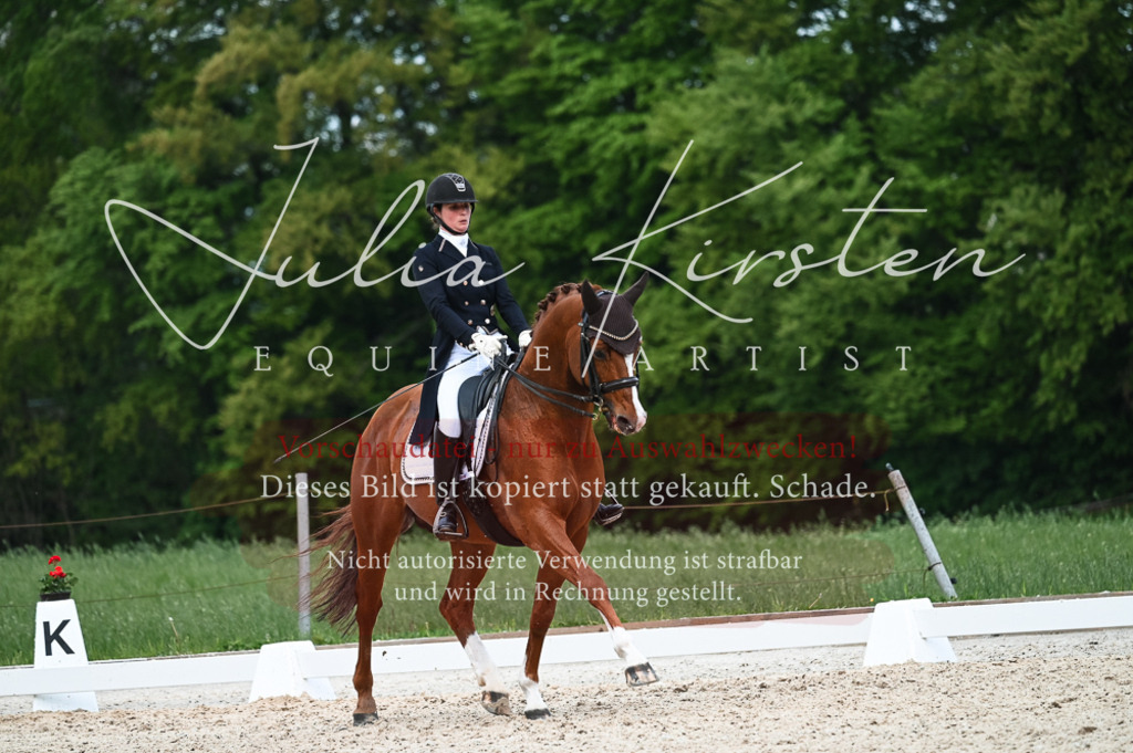 20230513_JK-Röhrsdorf-13-648 | Pferde- und Turnierfotografie in Westsachsen. Pferdeportraits, Auftragszeichnungen und intuitive Kunst.