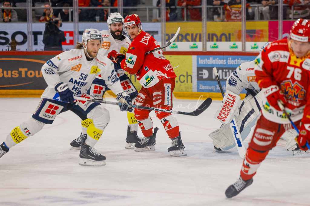 EHCB vs HCAP 20260115_wb-4692 | Sportbilder, Sportfotograf, Hochzeits- und Eventfotografin, Flugshows, Portraits und Tiershooting, Aviation, Downhill, Nationalleague, Swissleague, International