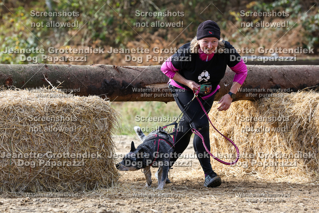 Dog Paparazzi - Strongdog 10-25-5421 | Dog Paparazzi Jeanette Grottendiek Fotografie & Videografie - Realisiert mit Pictrs.com