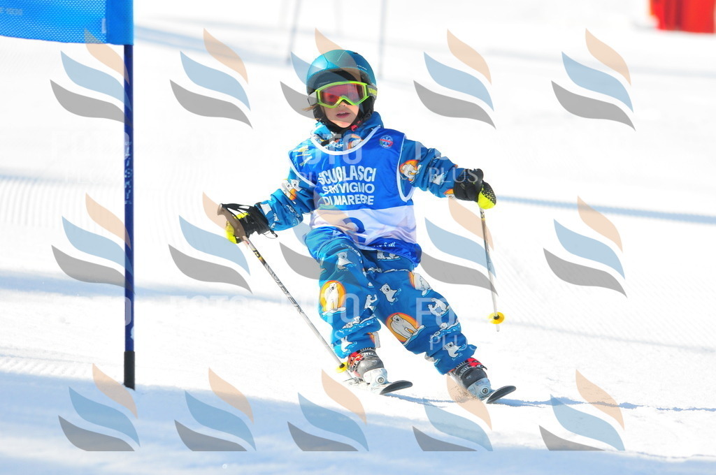 B9008 | holidayphoto