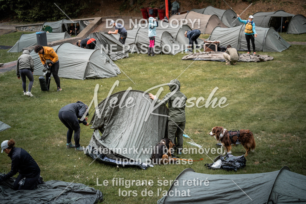 nelerasche_SaAbends_230 | nelerasche - Realisiert mit Pictrs.com
