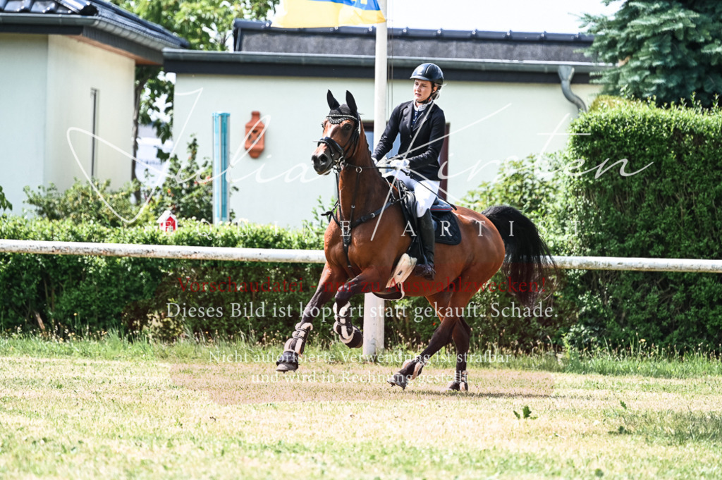 DSC_9424 | Pferde- und Turnierfotografie in Westsachsen. Pferdeportraits, Auftragszeichnungen und intuitive Kunst.