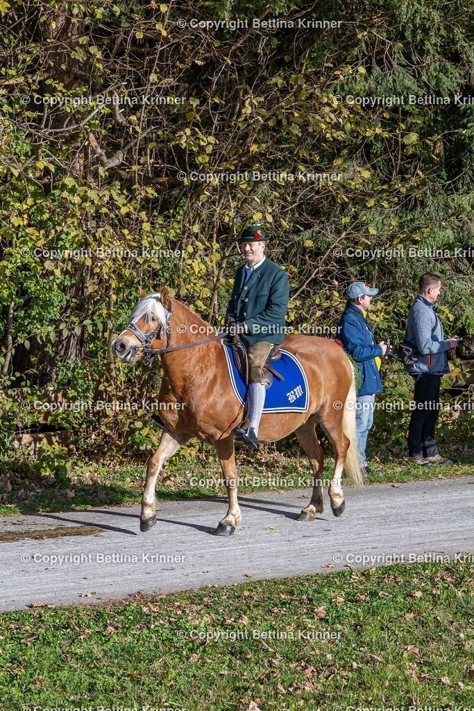 LBT24-933 | foto-bettina-krinner - Realisiert mit Pictrs.com