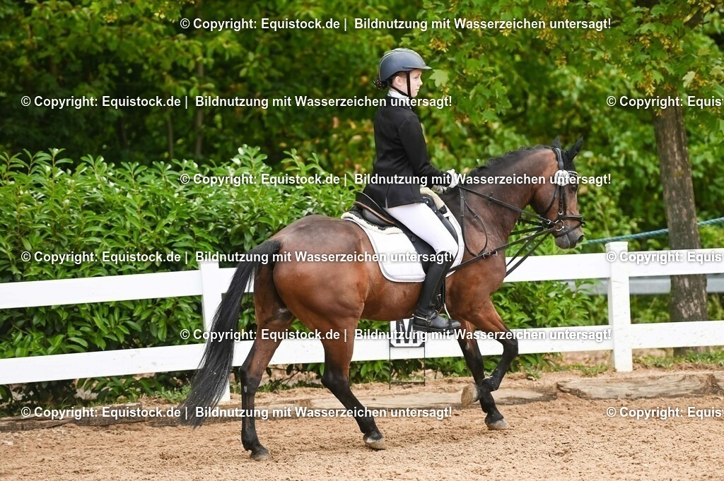 20230716_10-2_Reiter-WB Schritt - Trab - Galopp_0104 | equistock