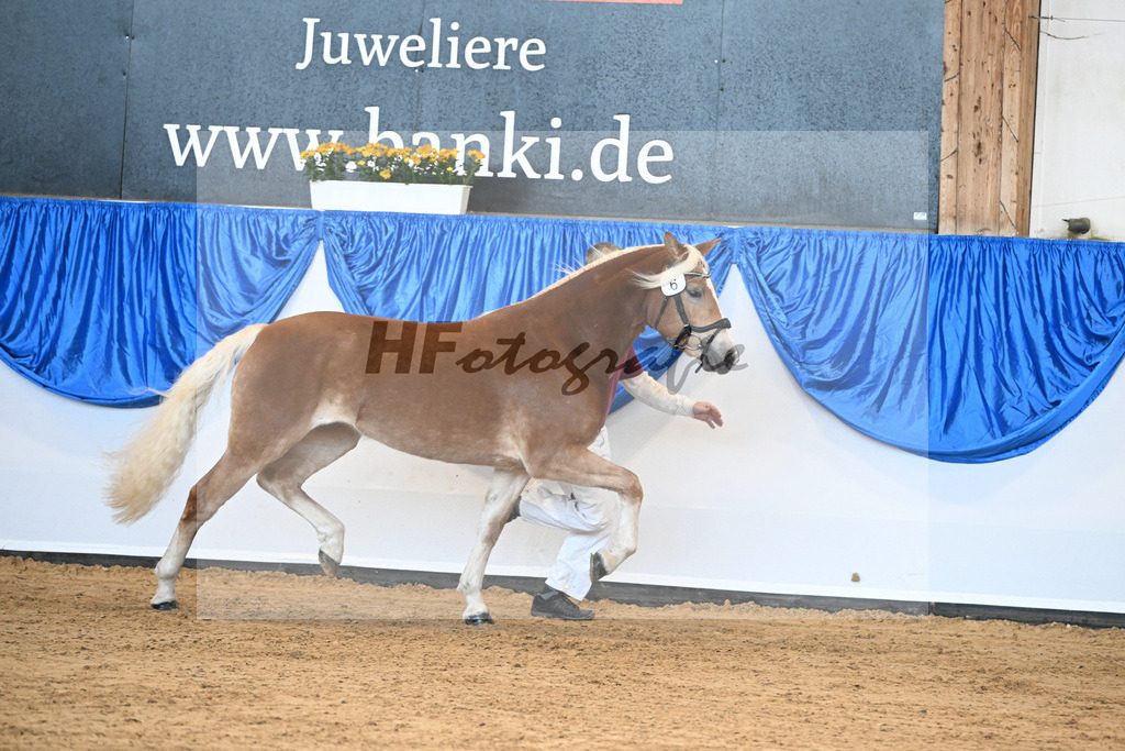 Bl. Band Kat-Nr. 6 Soey v. Wendelin_Noak_48241095 | hf-fotografie - Realisiert mit Pictrs.com