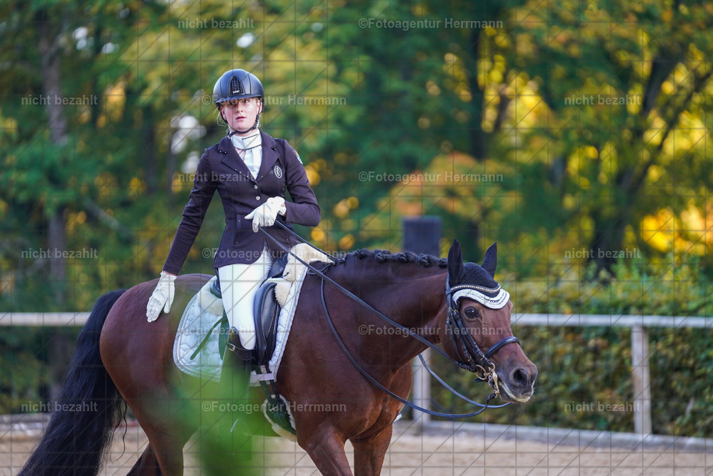 20221007-FAH00470 | Diessen am Ammersee, 2022, Dressur- und Springturnier, Reitsportbilder, Turnierfotografen Bayern, Pferdefotografen, Fotoagentur Herrmann, Turnierbilder