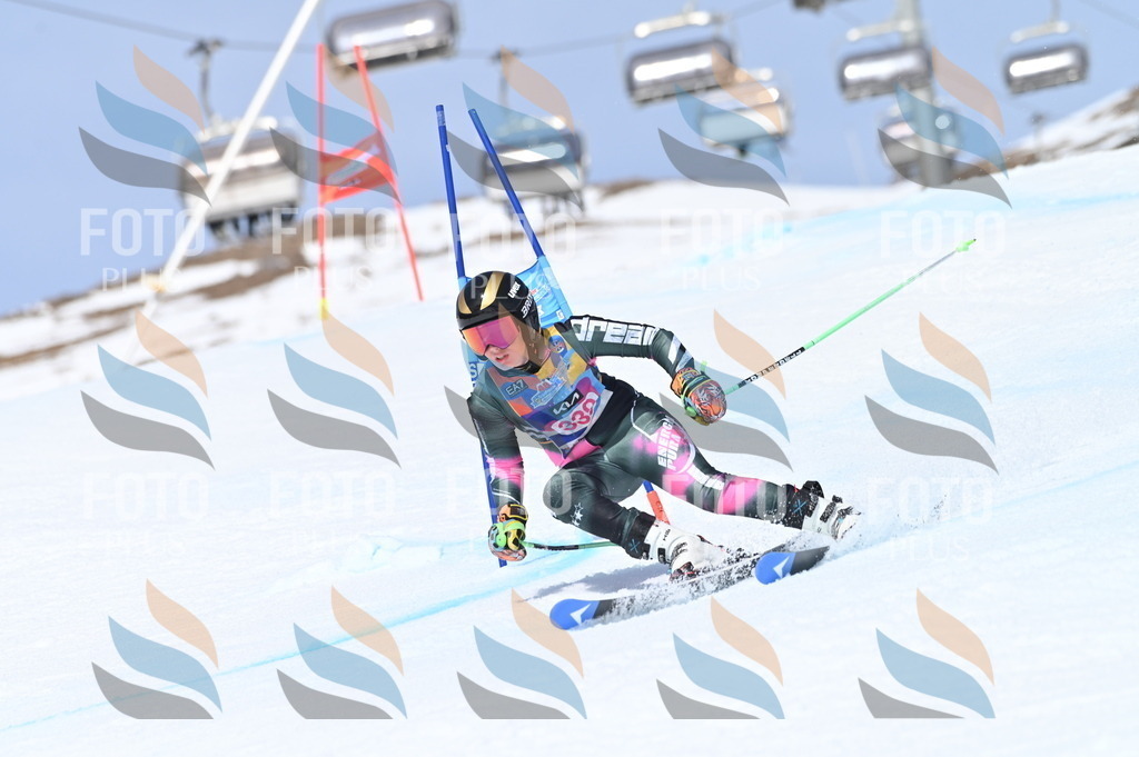 BGV_3434 | holidayphoto