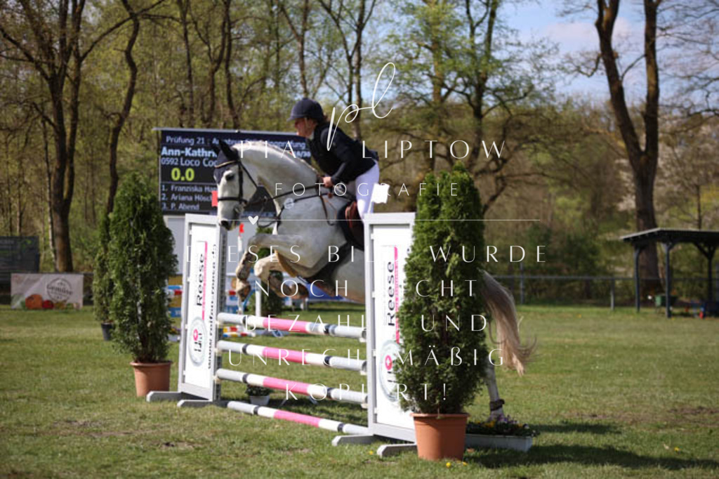 IMGT5489 | pl-fotografie