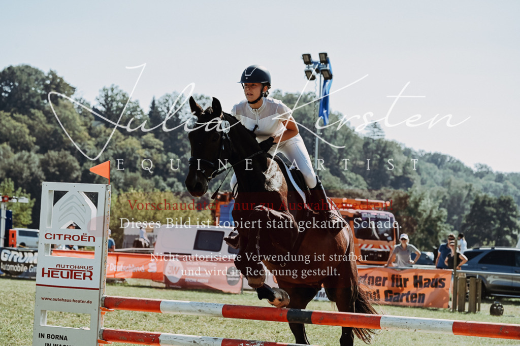 DSC_6588 | Pferde- und Turnierfotografie in Westsachsen. Pferdeportraits, Auftragszeichnungen und intuitive Kunst.