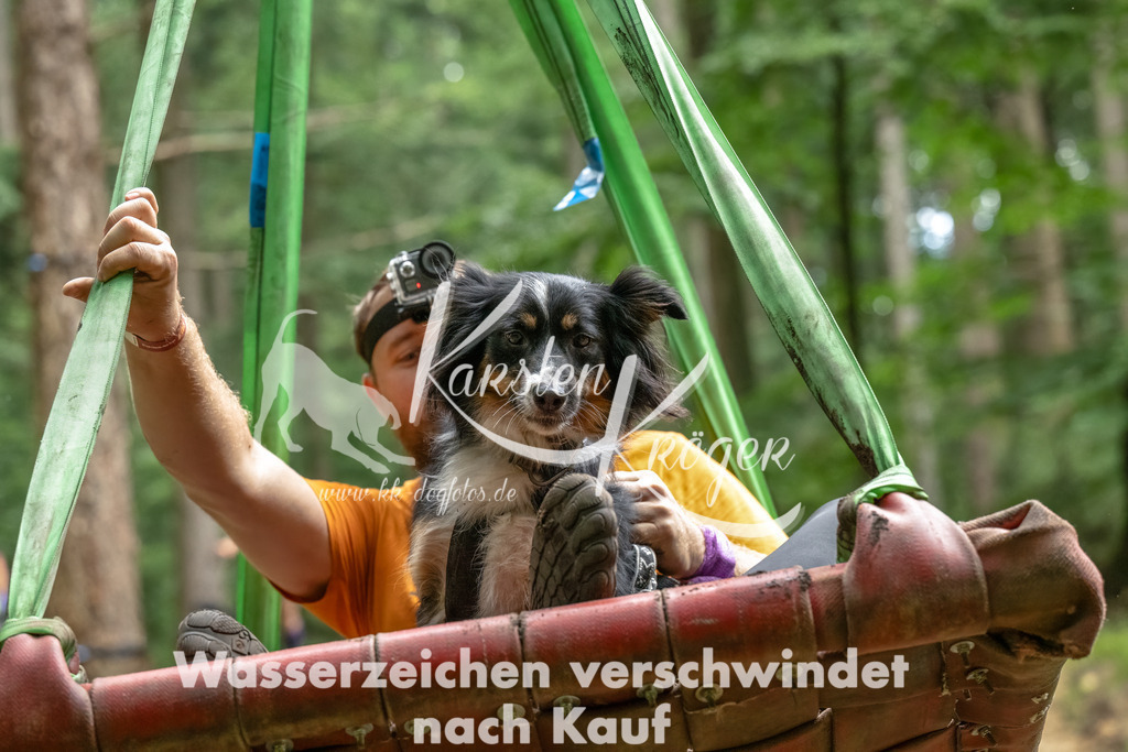 1151_ZZ90824-Bearbeitet | kk-dogfotos