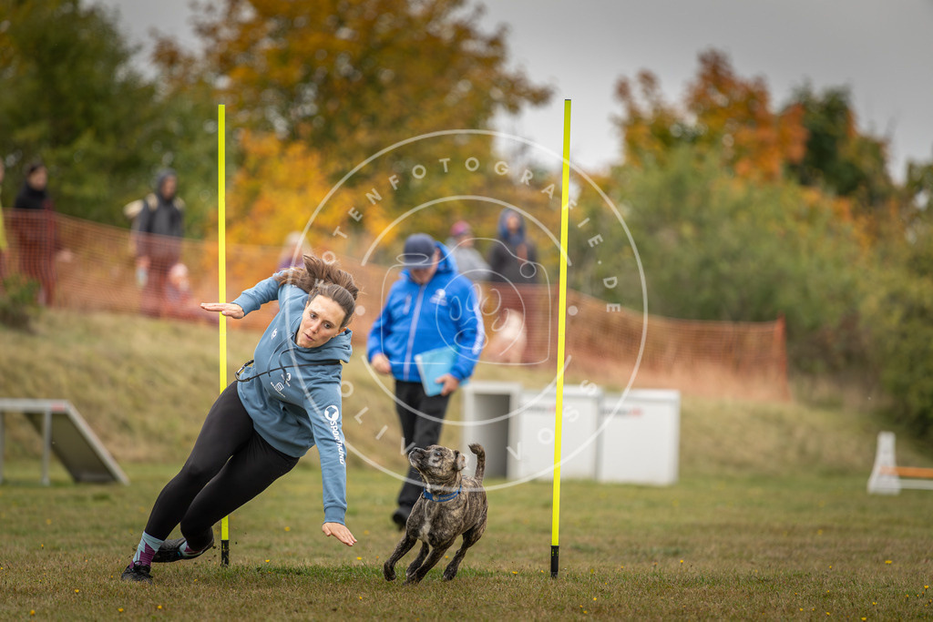 Pfotenfotografie_DV3A3483 | Hundefotografie, Tierfotograf, Pfotenfotografie, Fotoshooting Hund, Hunde Portrait, Hundesport, Hundeportraits, Heideshooting, Hunde, Sportfotograf, Hundefotograf, Turnierhundsport, THS,  - Realisiert mit Pictrs.com