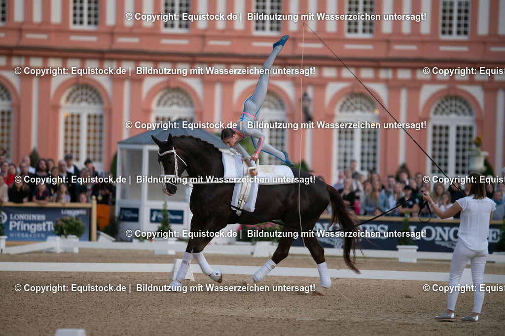 20230527_Voltigieren_NASPA_Flutlicht_0036 | equistock
