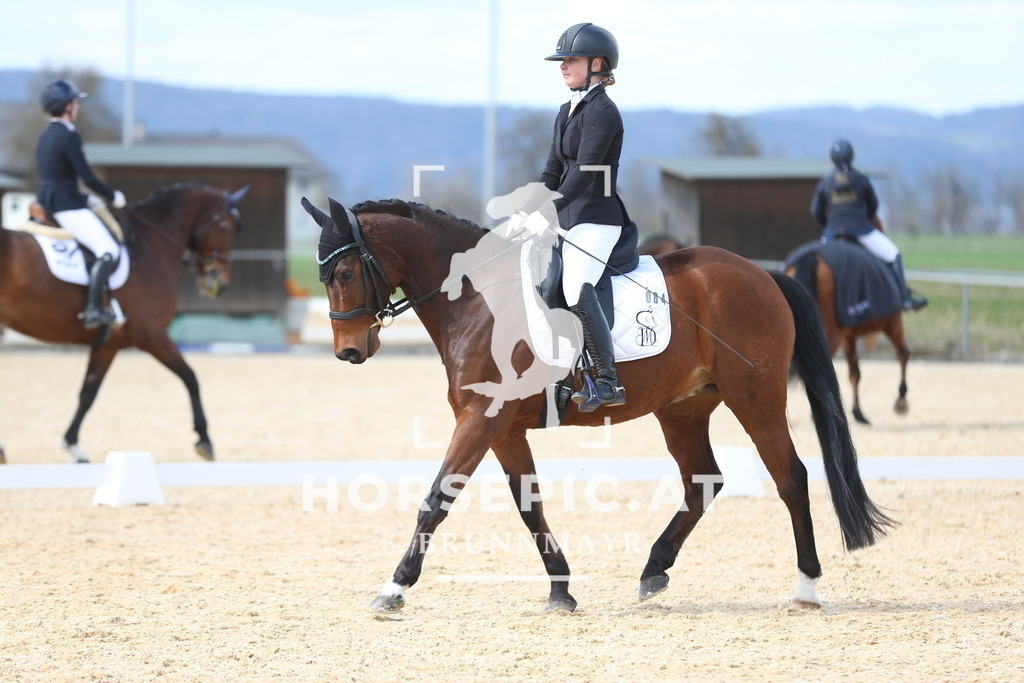 AS8V1473 | Willkommen bei Brunnmayr - Design & Fotografie – Ihrem Spezialisten für Reitturniere und Pferdeveranstaltungen in Oberösterreich, Salzburg und Bayern! Seit über 17 Jahren sind wir leidenschaftlich dabei.