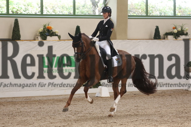 Gut Ising_2023_Prfg.Nr.06_Finale_TFD-Cup_Celestine Kindler_Quotenkönig (15) | Alle Fotos der Reiterjournal Fotografin Doris Matthaes im Reiterjournal Online-Fotoshop. - Realisiert mit Pictrs.com