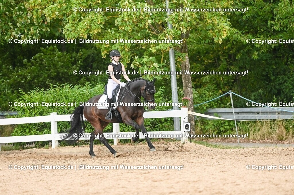 20230716_01_Dressurprüfung Kl.M_0468 | equistock