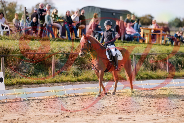 2026_10_03_Siefer-Hof_115946_Z81_00822223 | Professionelle Reitsport-, Turnier- und Eventfotografie von Robert Broda. Galerien mit ausgewählten und bearbeiteten Bildern direkt online ansehen und bestellen.