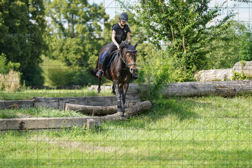 20240622-FAH08082 | Turnierfotografen Bayern, Reitsportbilder aus dem Geländekurs mit Felix Etzel auf dem Gut Waitzacker 2024