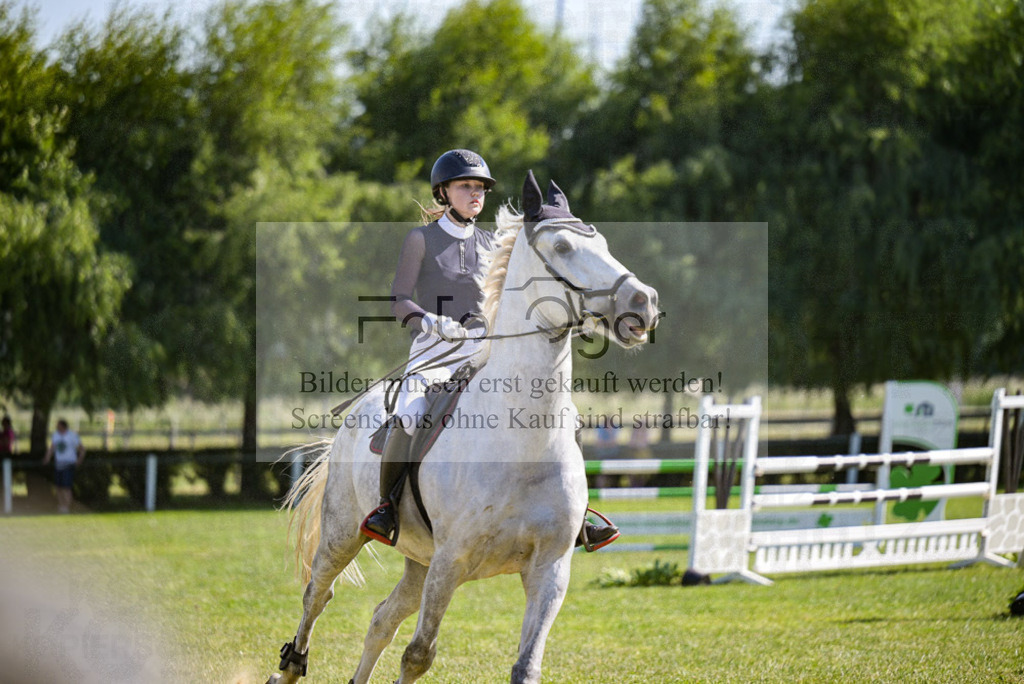 Reitturnier Voxtrup | Entdecke hochwertige Reitturnierfotos von Foto Oger. Professionell, emotional und authentisch – jetzt Lieblingsmomente im Shop bestellen.Deutschlandweite Turnierfotografie. - Realisiert mit Pictrs.com