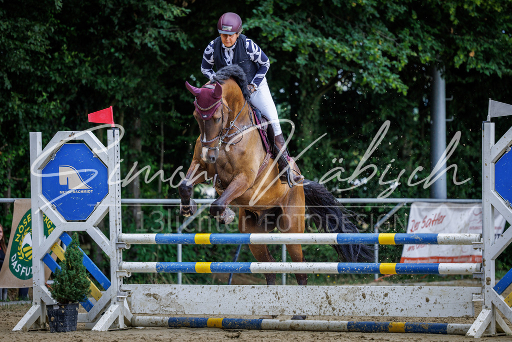 20260705-_3LI5377 | Tierfotografie Pferde, Hunde, Katzen, Haustiere.
Turnierfotografie Reitturniere, Reiten, Springreiten, Dressur in Hanau, dem Main-Kinzig-Kreis und dem Rhein-Main- Gebiet um Frankfurt