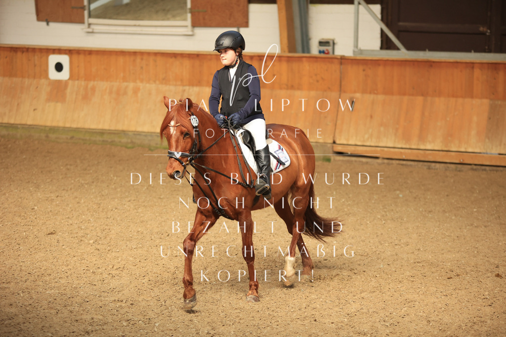 IMGT5428 | pl-fotografie