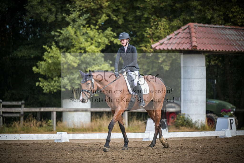 DOS_1784 | Entdecke hochwertige Reitturnierfotos von Foto Oger. Professionell, emotional und authentisch – jetzt Lieblingsmomente im Shop bestellen.Deutschlandweite Turnierfotografie. - Realisiert mit Pictrs.com
