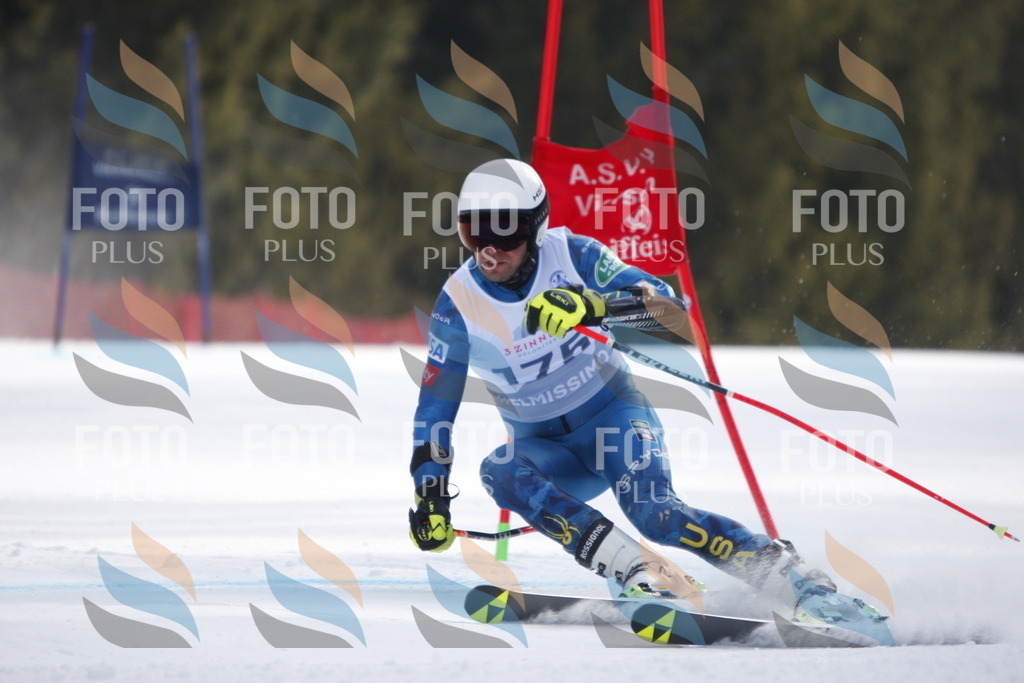 D7597 | holidayphoto