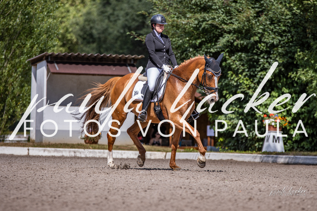 IMG_8078 | Erleben Sie dynamische Sport- und emotionale Tierfotografie in Süddeutschland mit Fotos von Paula. Spezialisiert auf Pferde- und Hundefotografie sowie Sportevents. Kontaktieren Sie mich für einzigartige und ausdrucksstarke Bilder Ihrer besonderen Momente. - Realisiert mit Pictrs.com
