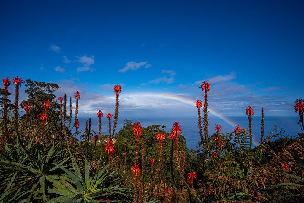 DSC05471 (6) | <meta name="keywords" content="Bergbilder, Hochzeitsfotografie, Actionshootings, Fotografiearbeiten, Berglandschaften, Naturfotografie">

 - Realisiert mit Pictrs.com
