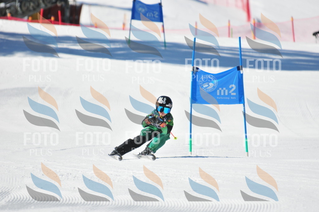 C3131 | holidayphoto