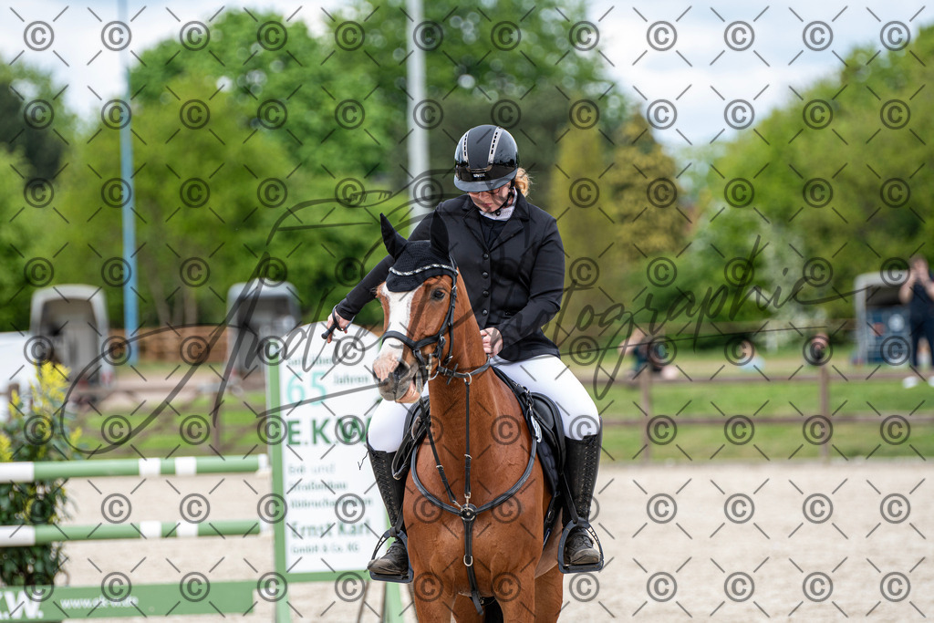 KPT_6223 | andre_photographic