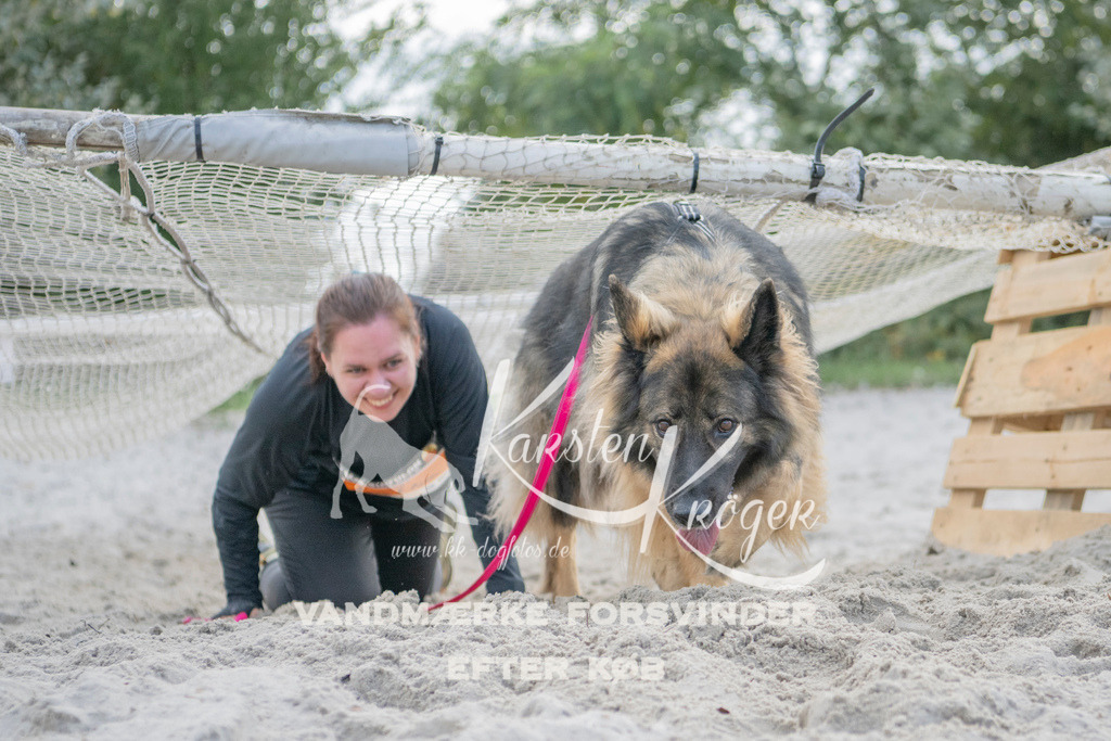 1400_ZZ99119 | kk-dogfotos