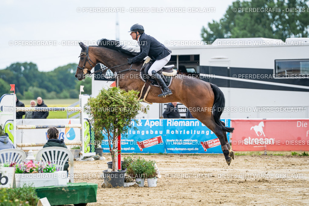 DSC06897 | Pferdegrafie