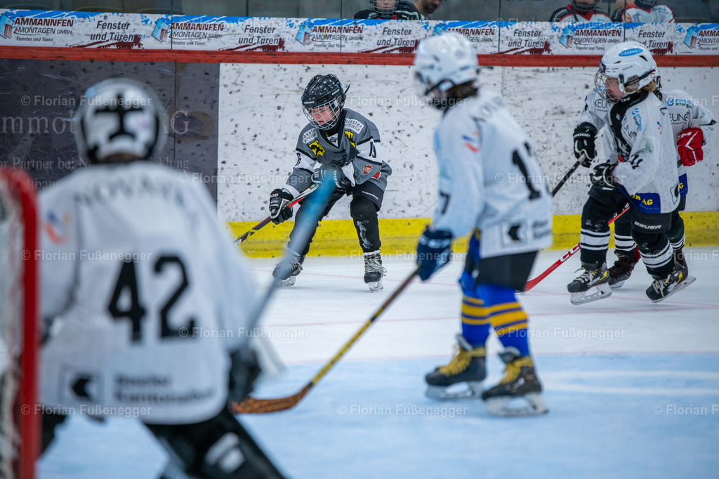 2025-03-01-Bärencup Wil-051 | "Fussifoto.com – Ihr Ansprechpartner für hochwertige Fotografie! Entdecken Sie kreative Bilder und professionelle Dienstleistungen. Kontaktieren Sie uns für Ihre Projekte!"