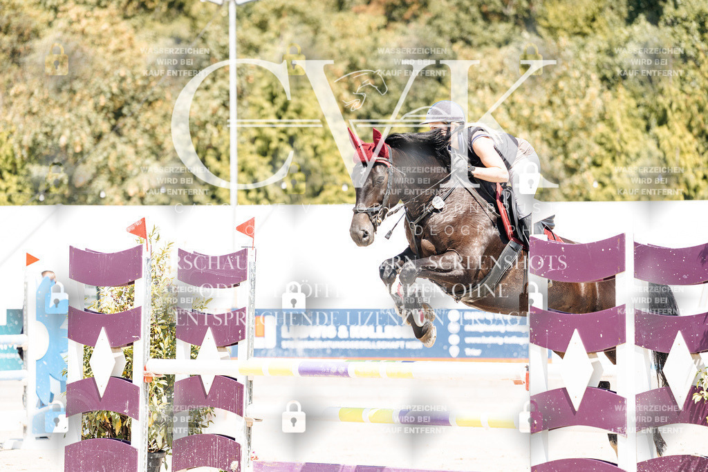 CK900622 | Turnierfotografie Pferdefotografie Trier Rheinland-Pfalz Pferdesport Reitsport Tierfotografie Sportfotografie Pferdevideo Pferdevideografie Equestrianvideography equestrianphotography  - Realisiert mit Pictrs.com