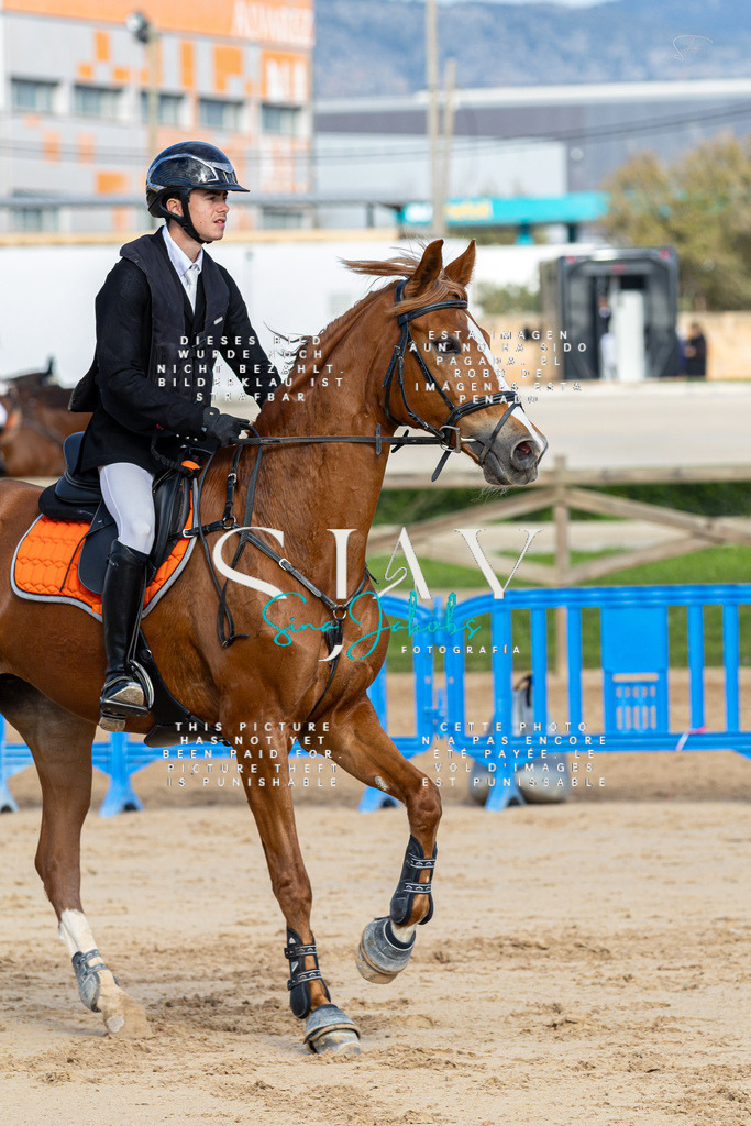 IMG_2081 | s-jay-photography - Realisiert mit Pictrs.com