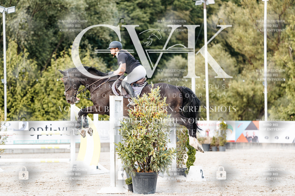 CK903851 | Turnierfotografie Pferdefotografie Trier Rheinland-Pfalz Pferdesport Reitsport Tierfotografie Sportfotografie Pferdevideo Pferdevideografie Equestrianvideography equestrianphotography  - Realisiert mit Pictrs.com