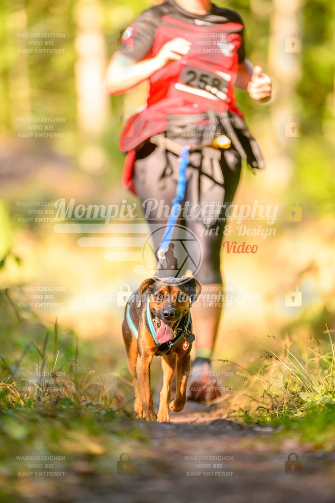 MompixPhotography_Yens2025_B3-70 | PayLife