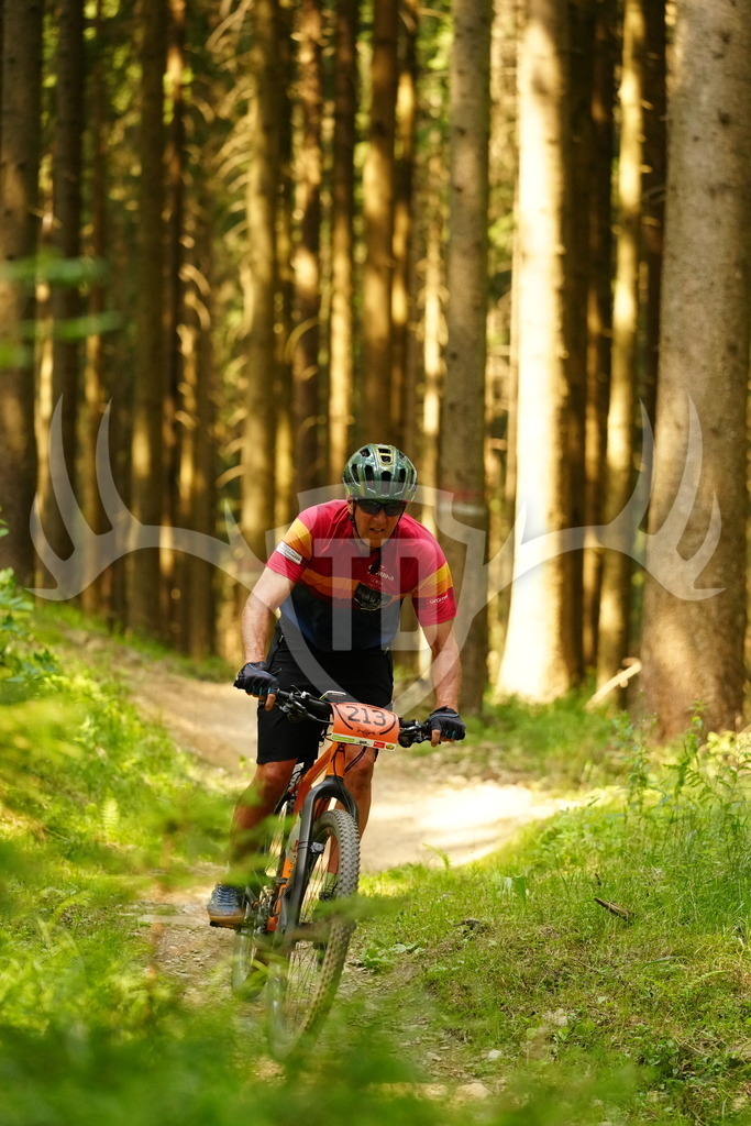 FC103146 | Fotogalerie der Treibjagd im Dunkelwald - Dein MTB Etappenrennen im Erzgebirge - Realisiert mit Pictrs.com