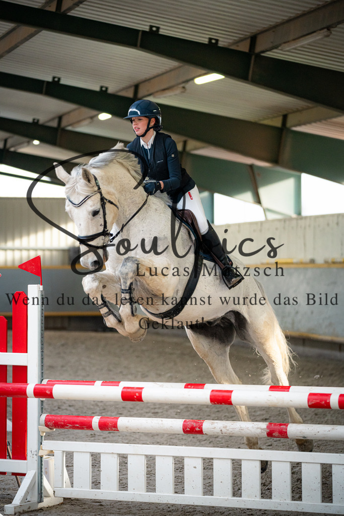 A7V04452 | Pferdefotograf