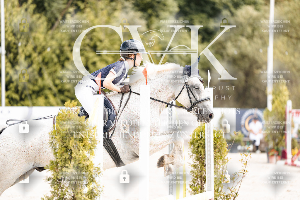 CK906804 | Turnierfotografie Pferdefotografie Trier Rheinland-Pfalz Pferdesport Reitsport Tierfotografie Sportfotografie Pferdevideo Pferdevideografie Equestrianvideography equestrianphotography  - Realisiert mit Pictrs.com