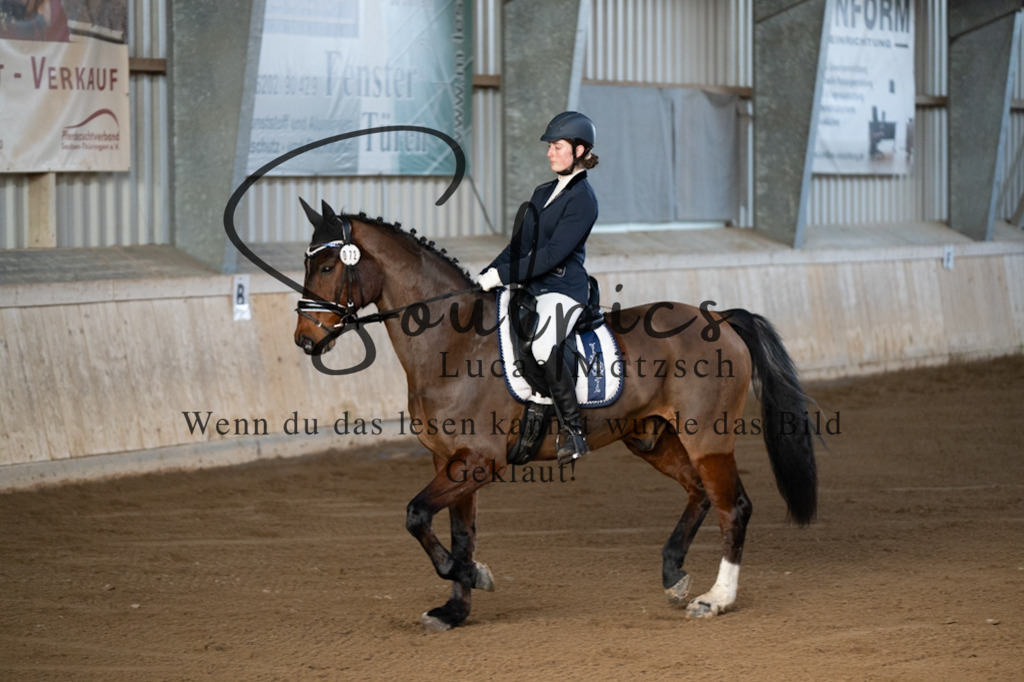 A7V05644 | Pferdefotograf