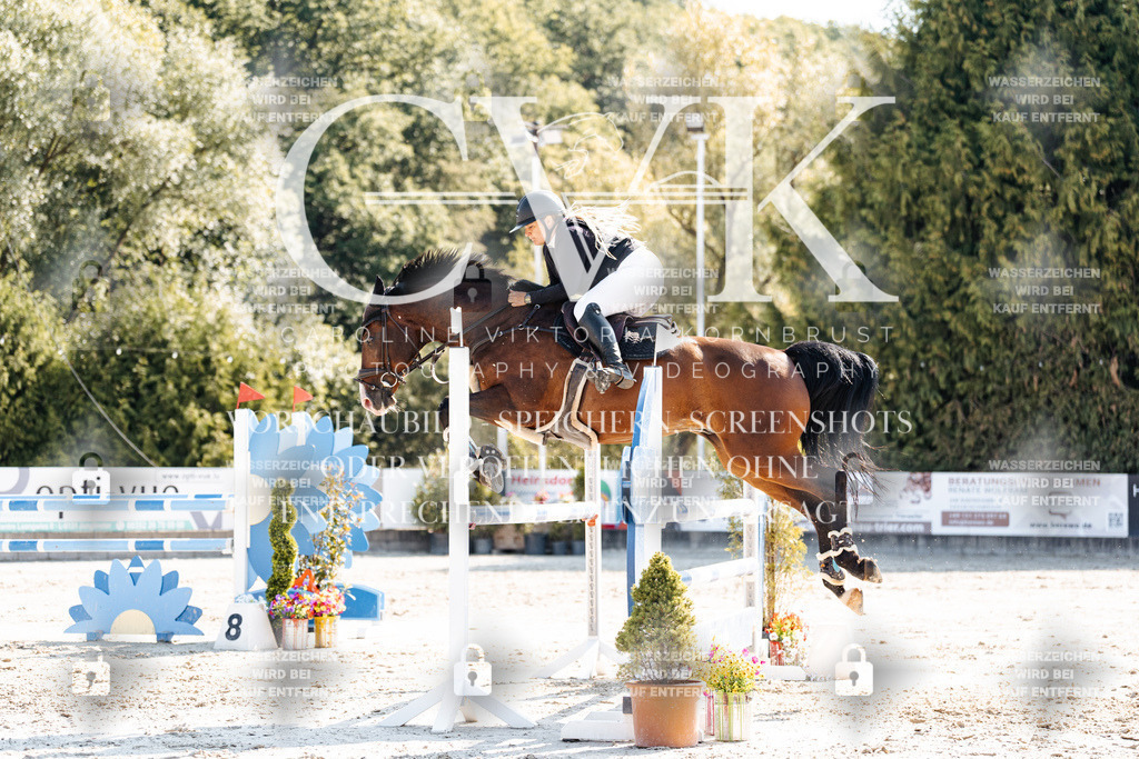 CK902537 | Turnierfotografie Pferdefotografie Trier Rheinland-Pfalz Pferdesport Reitsport Tierfotografie Sportfotografie Pferdevideo Pferdevideografie Equestrianvideography equestrianphotography  - Realisiert mit Pictrs.com