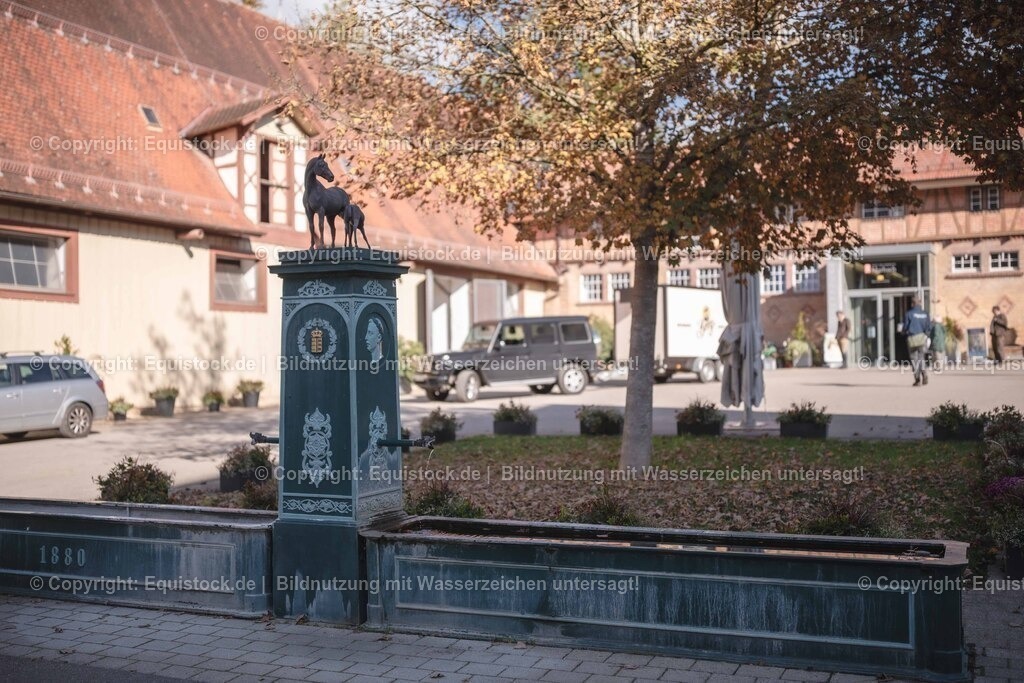20251011_Jagd-Marbach_0003 | Foto: Thomas Hartig