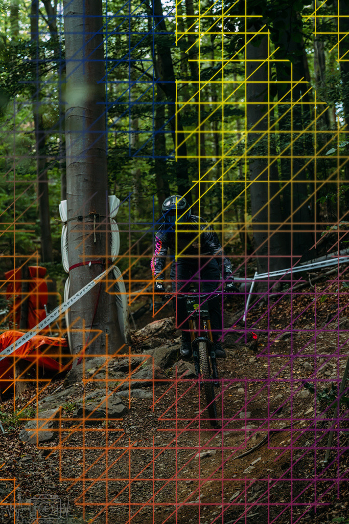 PAE-1301 | Einzigartige Fotokunst für dein Zuhause: Entdecke hochwertige Wandbilder, edle Prints und emotionale Motive von Wildlife, Natur und Landschaften - Realisiert mit Pictrs.com