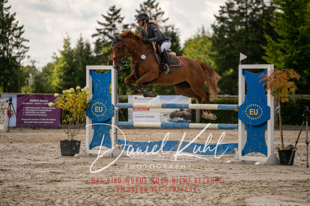 IMG_5498 | Turniersportfotografie; Pferdefotografie; Dressurfotografie