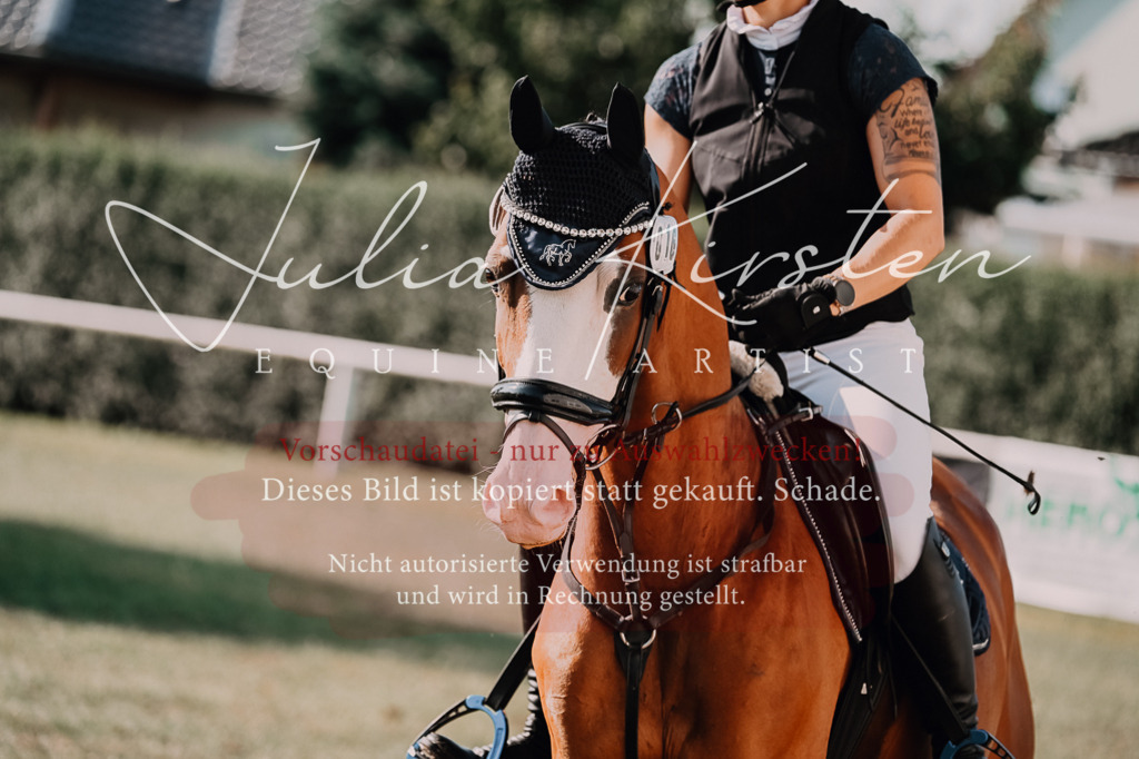 DSC_4725 | Pferde- und Turnierfotografie in Westsachsen. Pferdeportraits, Auftragszeichnungen und intuitive Kunst.